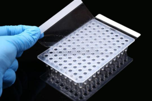 Hvad er anvendelserne af PCR-teknologi