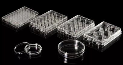 BM Life Science, plat/flacon/plaque pour la culture cellulaire