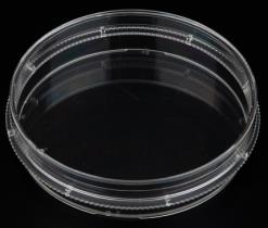 BM Life Science, plat/flacon/plaque pour la culture cellulaire