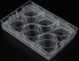 I-BM Life Science, Dish/Flask/Plate For Cell Culture