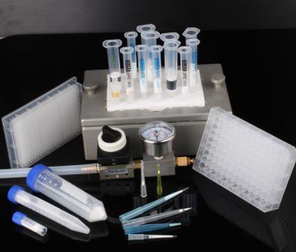 What is a nucleic acid extractor?