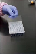 BM Life Science, produits de la série de films d'étanchéité PCR